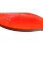 Taśma Neon Flex 12V, 5m