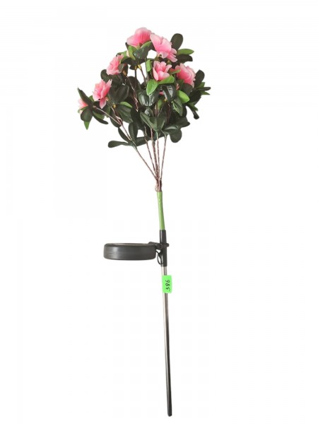 Solarne azalie 60 cm