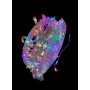 Lampki choinkowe "kolczatki", 500 led, multikolor
